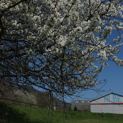 20190418 01