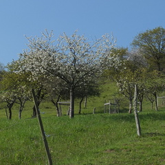 20190418 02
