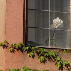 20190422 18