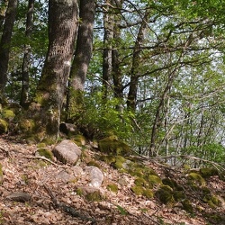 20190422 05 (188127 visits) 20190422 05