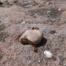 20190425 17 (184430 visits) 20190425 17